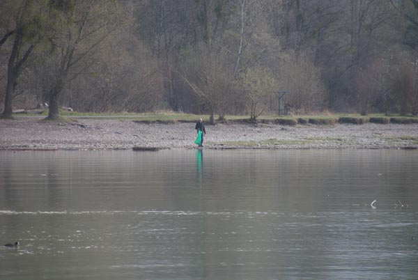 Seeuferreinigung_2017-03-25_DSC03854.jpg